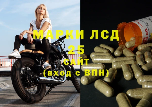 эйфоретик Аркадак