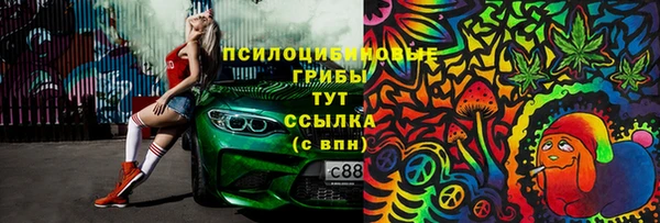 эйфоретик Аркадак