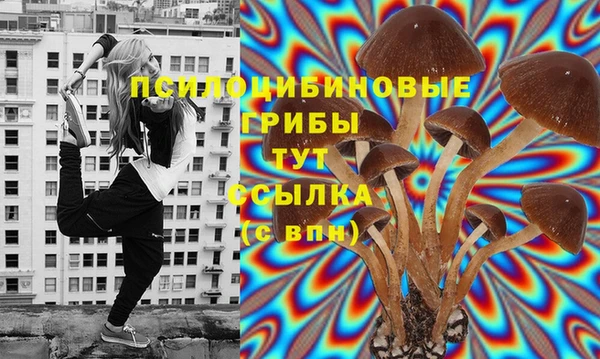 гашиш Арсеньев