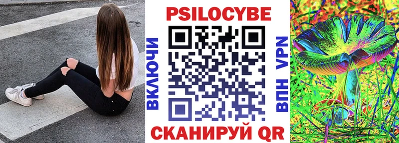 купить закладку  omg как зайти  Псилоцибиновые грибы Psilocybe  Рассказово 